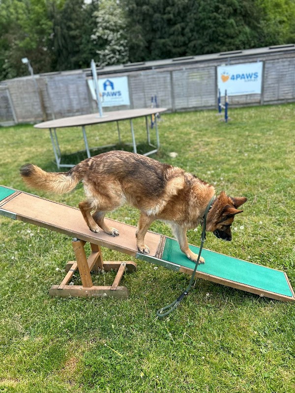 4 Paws Kennels