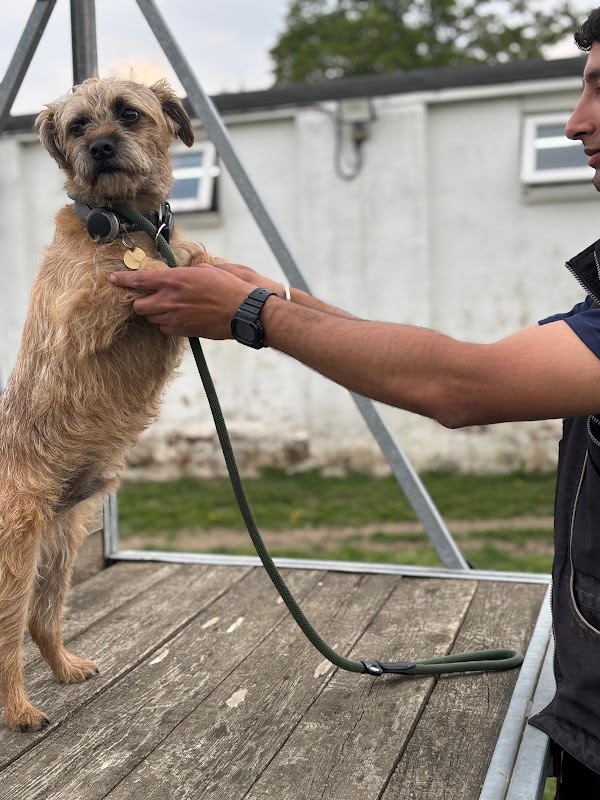 4 Paws Kennels photo 1