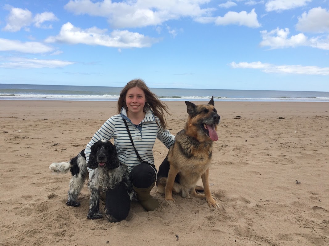 Peak Dog Services — breeder photo