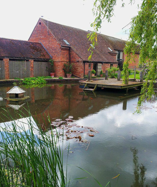Clean Fish Aquatic Services - Garden Pond and Aquarium Installation and Maintenance