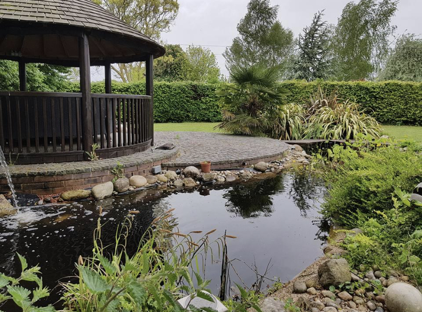 Clean Fish Aquatic Services - Garden Pond and Aquarium Installation and Maintenance photo 1