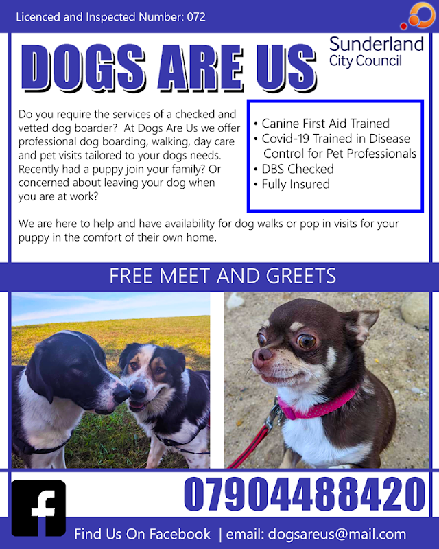 Dogs Are Us photo 3