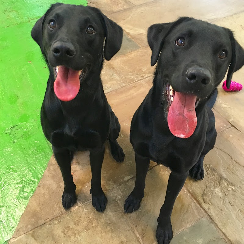 Centre Barks at Moscar (formerly Moscar Kennels)