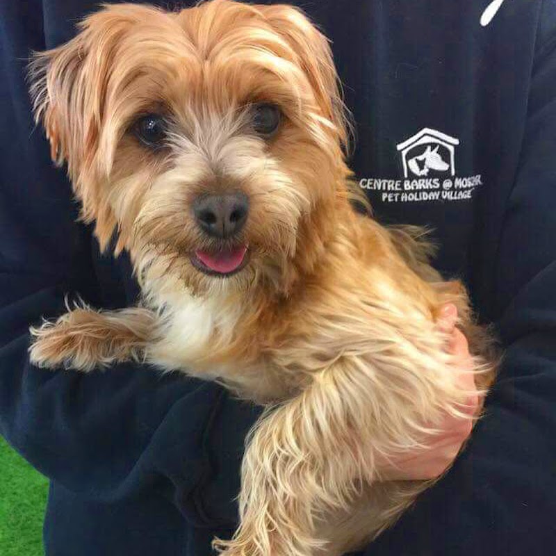 Centre Barks at Moscar (formerly Moscar Kennels) photo 2