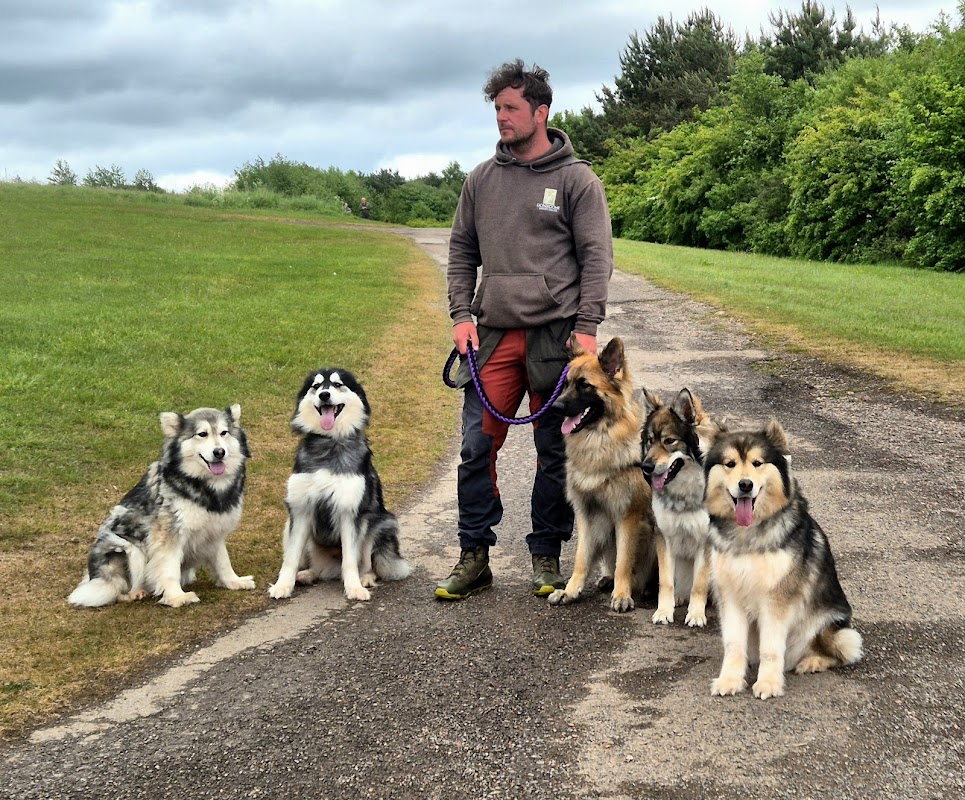 Sexton Dogs photo 2