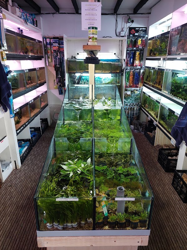 Pondakoi Pets & Aquatics photo 1