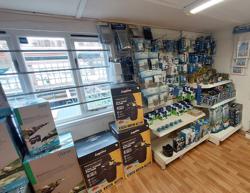 Pondakoi Pets & Aquatics photo 3