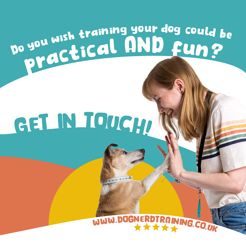 Dog Nerd Training photo 1