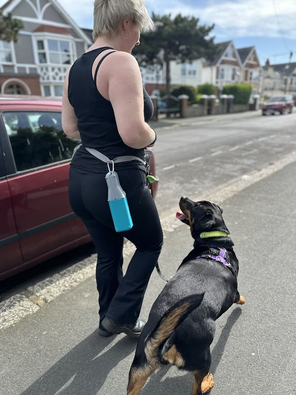 Dog Nerd Training photo 2