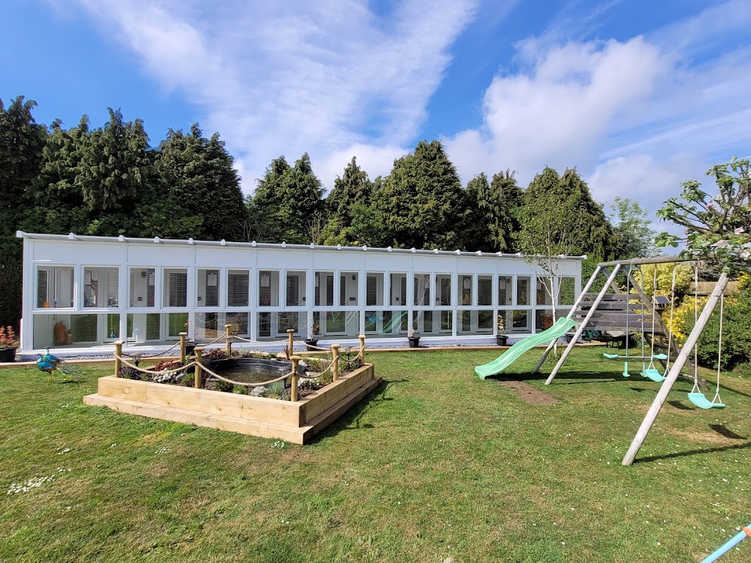 Four Paws Cattery Ltd photo 2