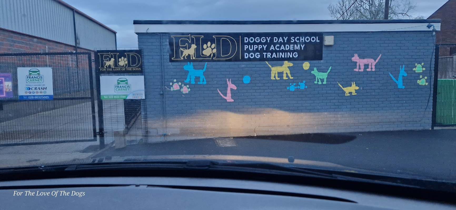 For The Love of The Dogs photo 3