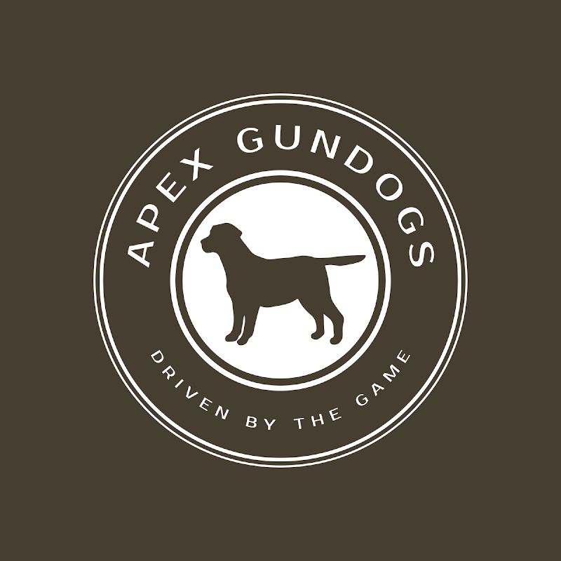 Apex Gundogs — breeder photo