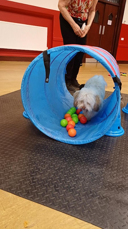 Bugzy's Dogs photo 2