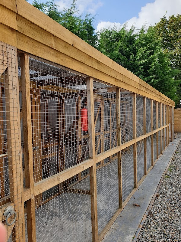 Mossbank Farm Cattery photo 3