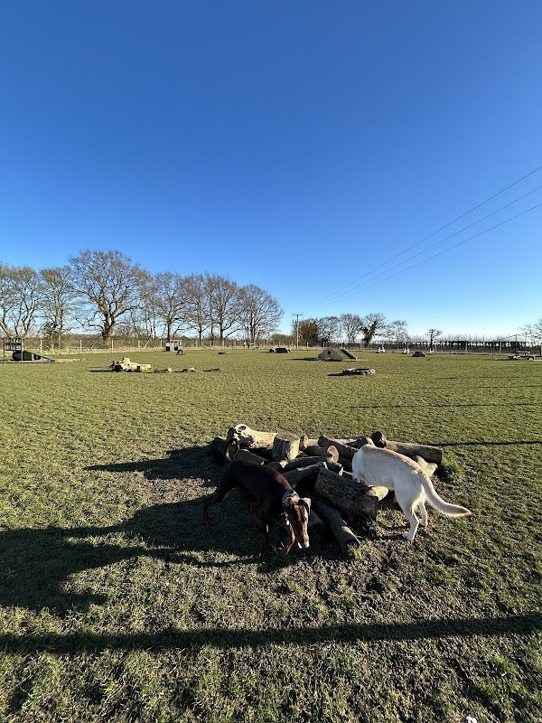 Bow Wow Dog Adventures & Secure Field photo 1