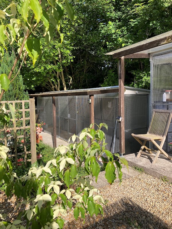 Camerton Cattery photo 3