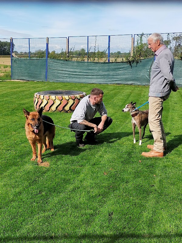Droveway Kennels photo 1