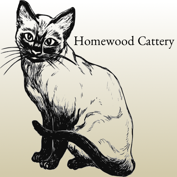 Homewood Cattery photo 3
