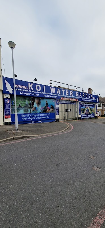 Koi Water Garden