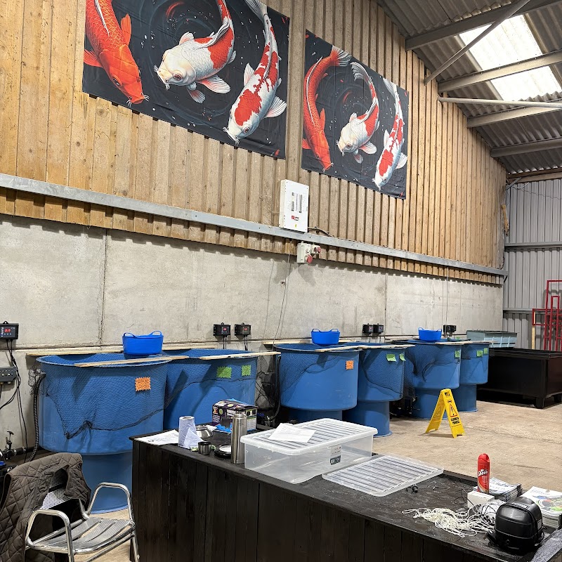 Plenty of Koi Bristol limited