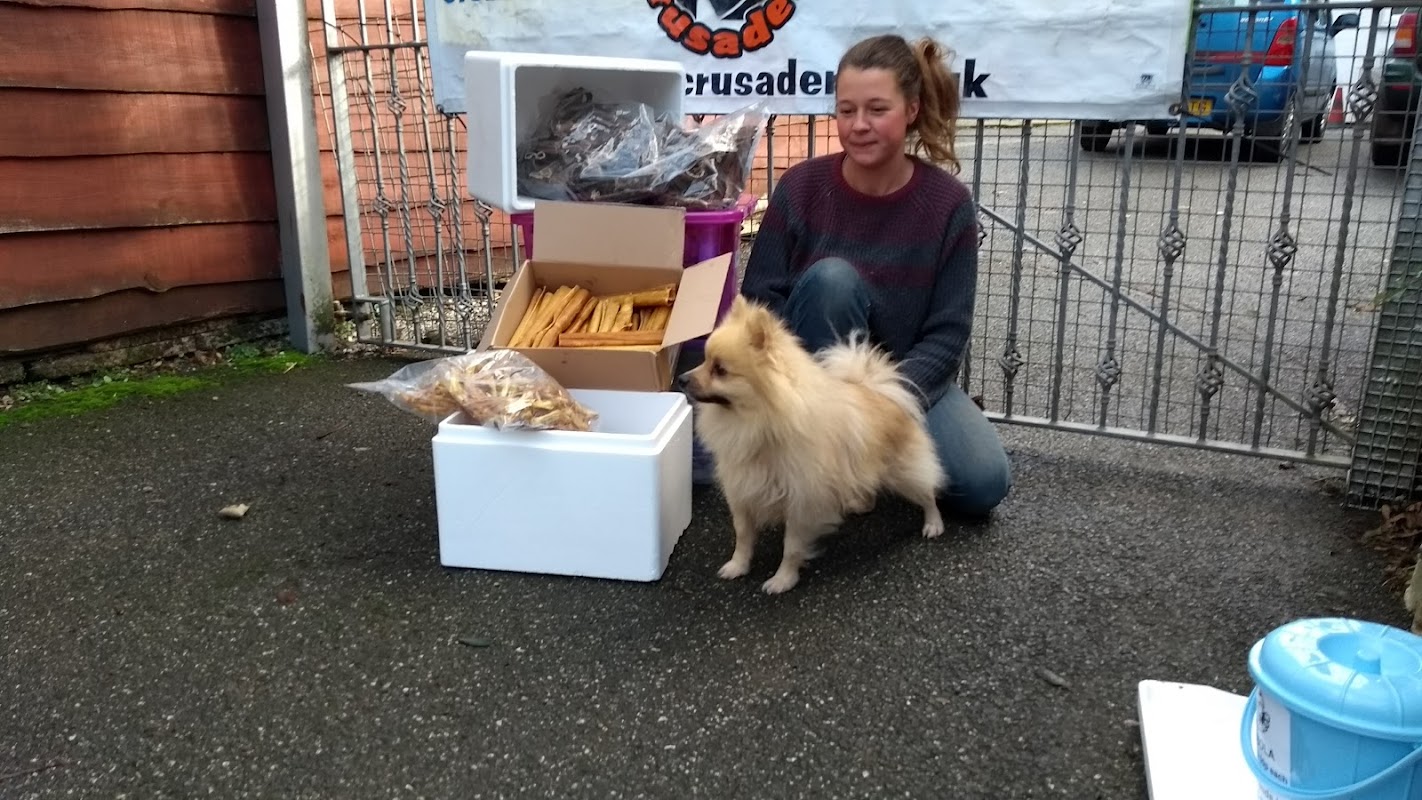 K9 Crusaders Dog Welfare