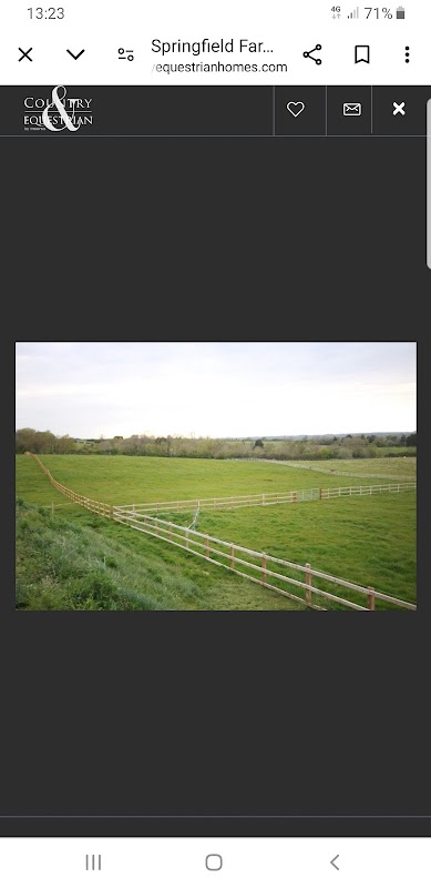 Springfield Stud photo 1
