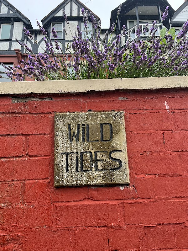 Wild Tides Dog Haven photo 2