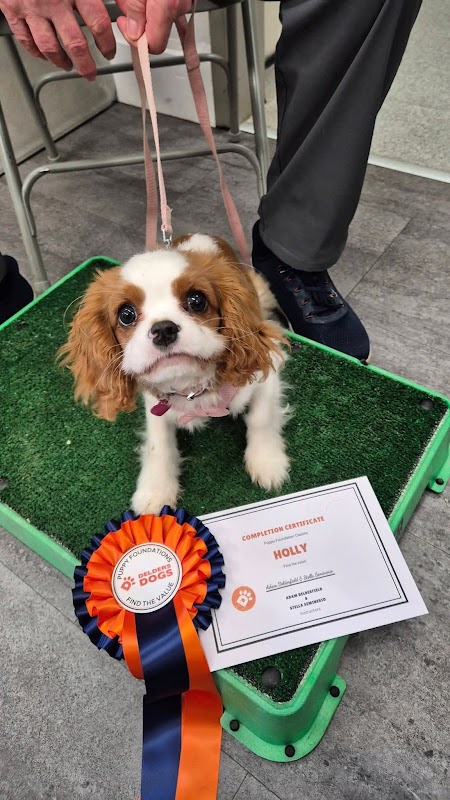 Delders Dogs Ltd photo 2