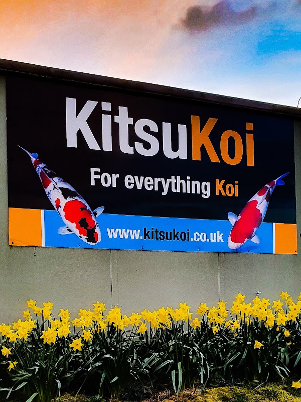 Kitsu Koi photo 1