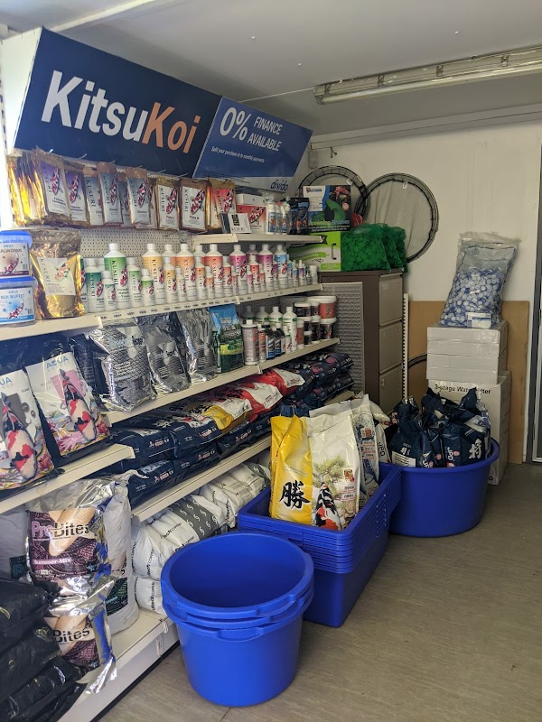 Kitsu Koi photo 2