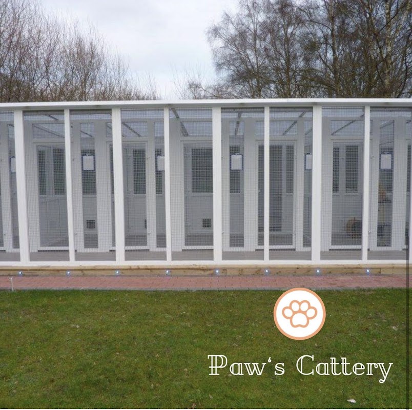 Paws cattery photo 2