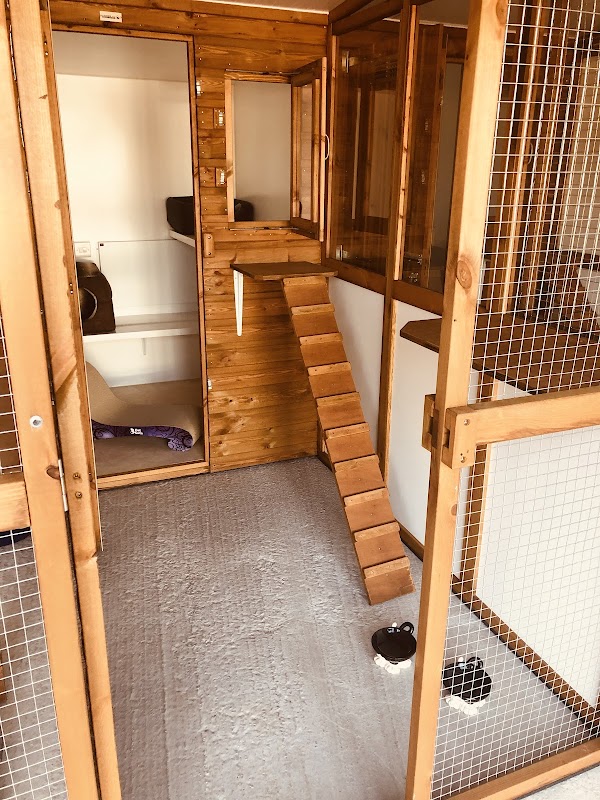 Romanno Purrfect Palace Cattery photo 3