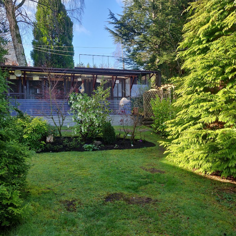 Cottage Cattery photo 3