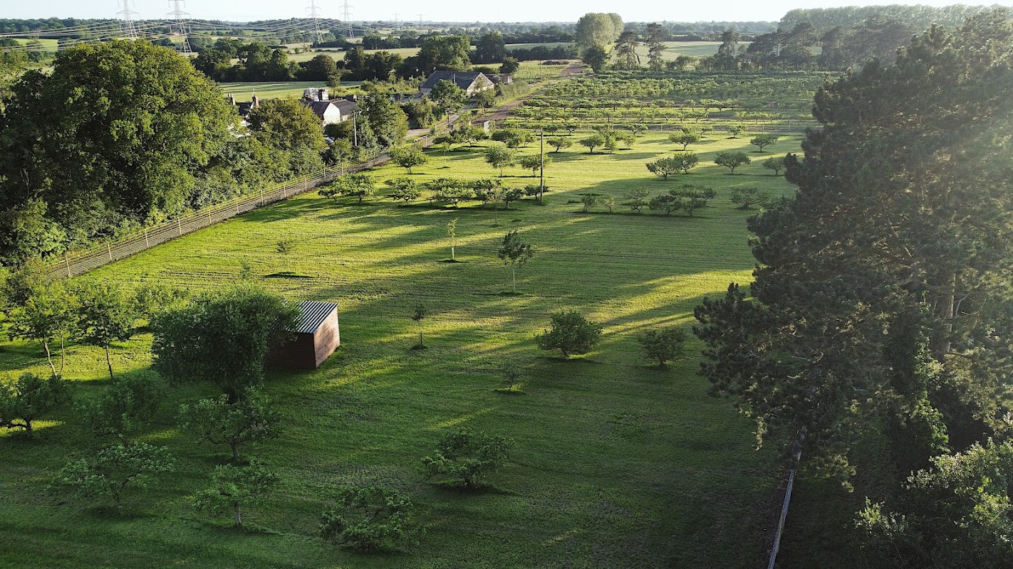 The Dog Orchard — breeder photo