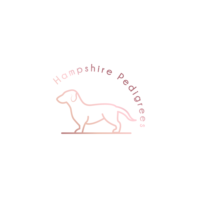 Hampshire Pedigrees Licensed Breeders photo 2