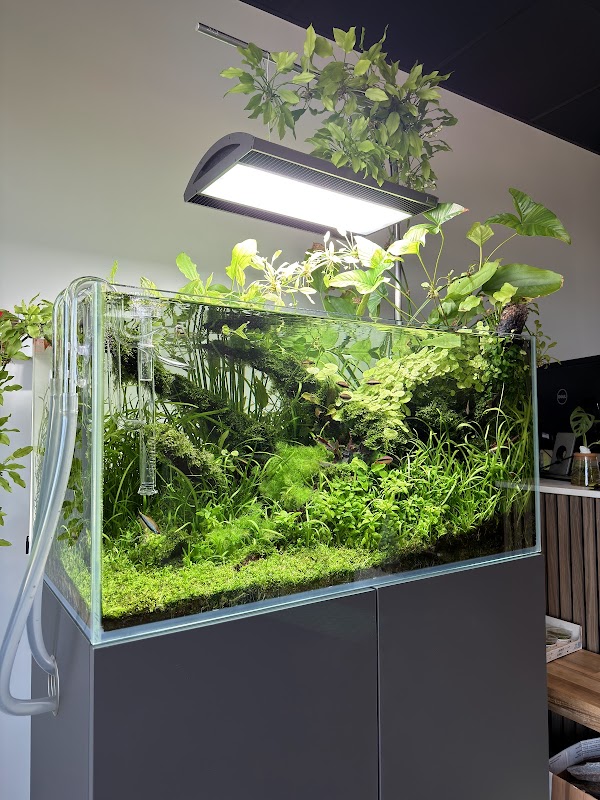 Aquarium Gardens photo 2