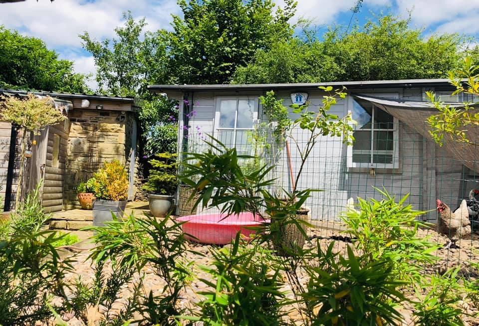 The Little Padfield Cattery
