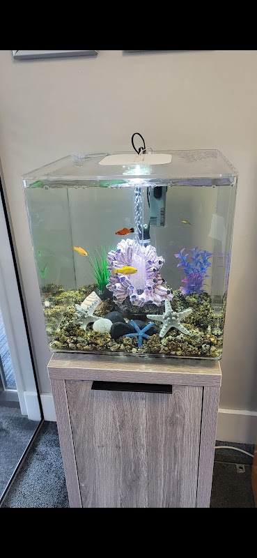 Fintastic aquariums limavady co derry photo 1