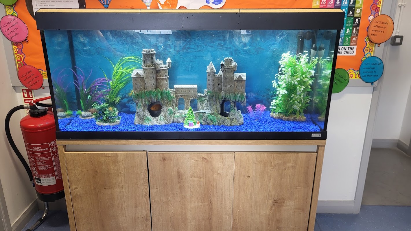 Fintastic aquariums limavady co derry photo 2