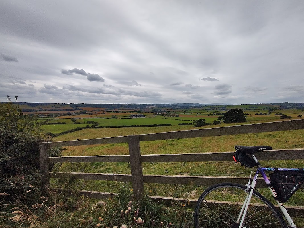 Barrowby Stud and Connemaras photo 1