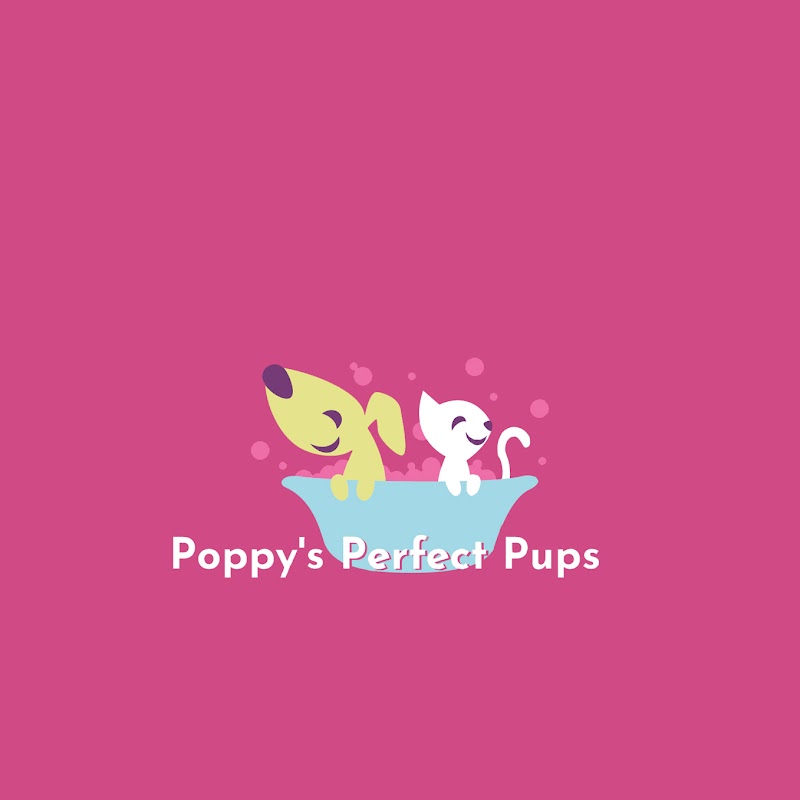 Poppy's Perfect Pups photo 1