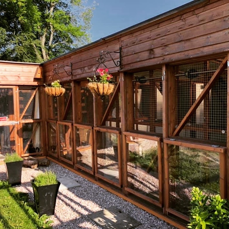 Catz Cattery