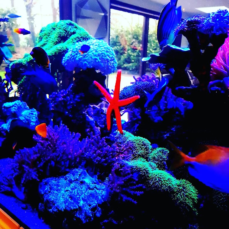 Aquarium Brothers Ltd photo 2