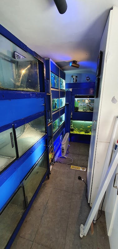 MJ Cichlids & Aquatics