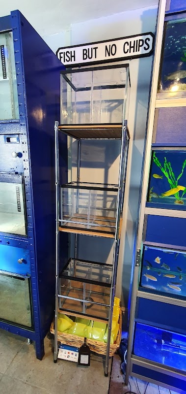 MJ Cichlids & Aquatics photo 3