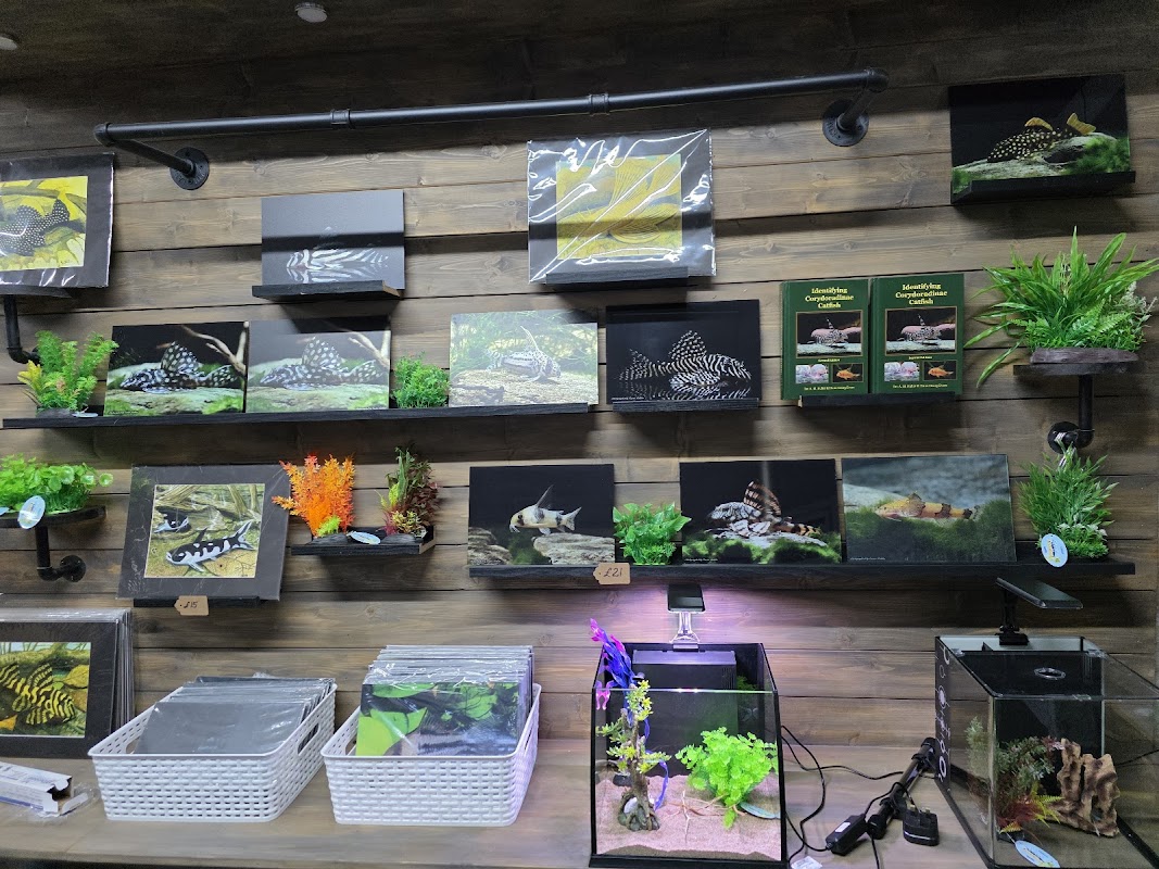 G.M Aquatics Aquarium-Fish ltd