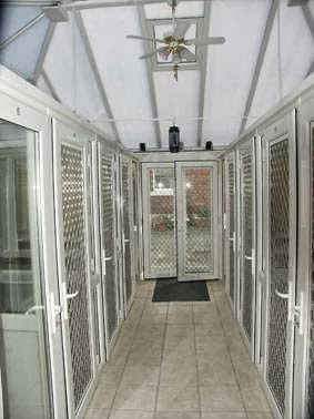 Little Lever Cattery photo 3