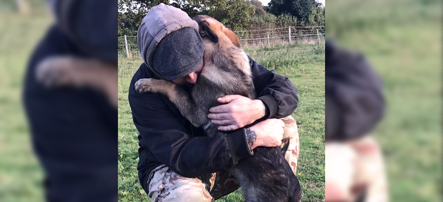 Tarchey Kennels photo 1