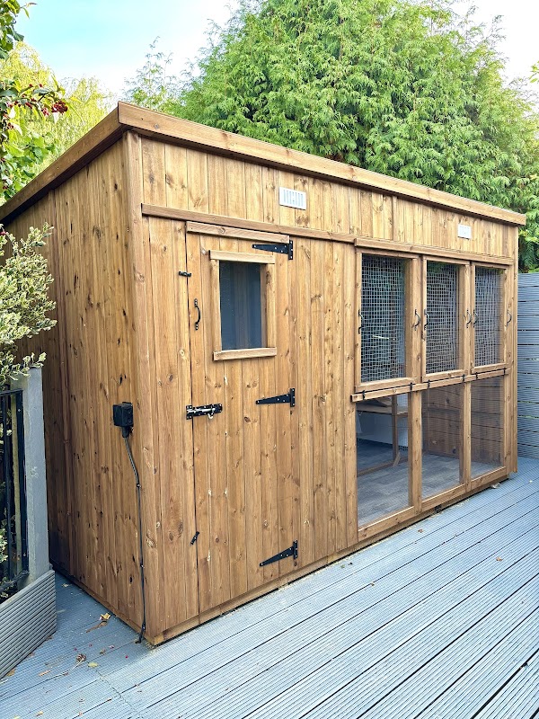 Feline Friends Cattery photo 3