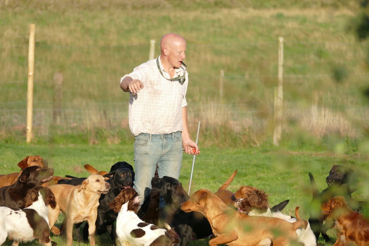 Mordor Gundogs photo 3